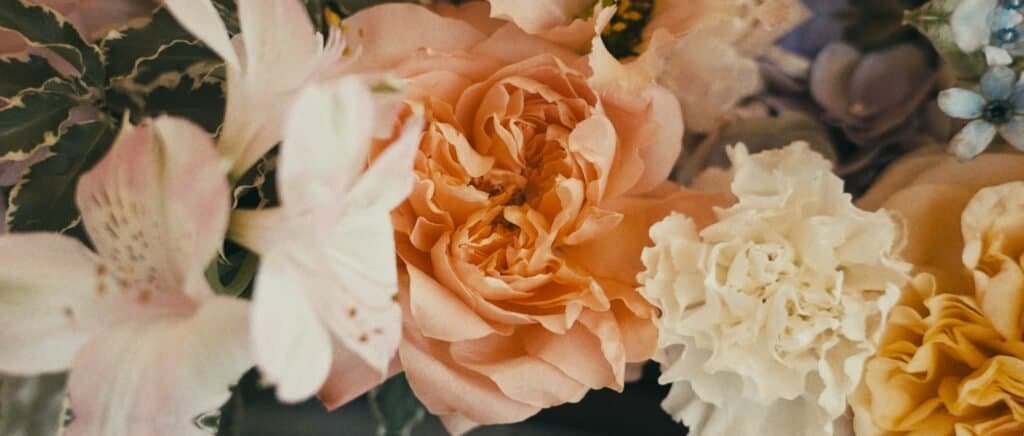 Film de Mariage en Provence